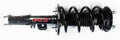 Suspension Strut and Coil Spring Assembly V159039