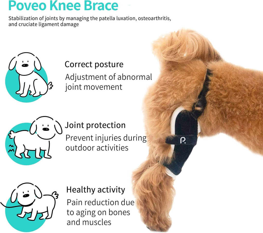 Neoprene Dog Knee Brace with Patella Tracker I7580