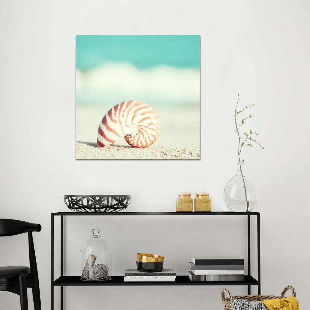 Canvas Art Picture - Nautilus U62463