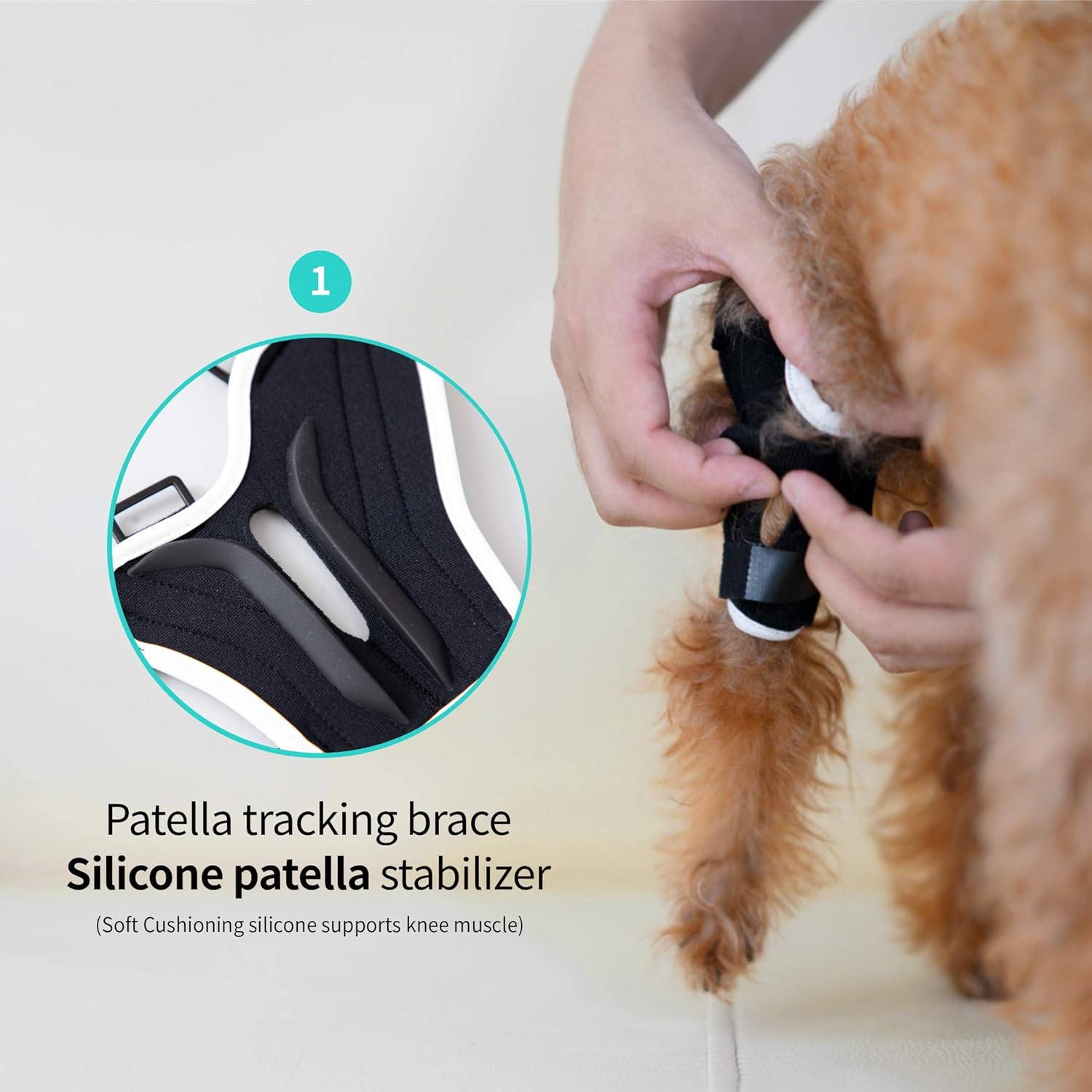 Neoprene Dog Knee Brace with Patella Tracker I7580