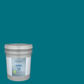 Interior Paint (5-Gallon) W429