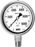 100mm 4" Dial 0~10000psi Full Stainless Steel Internals Pressure Gauge Pack of 2 W53107