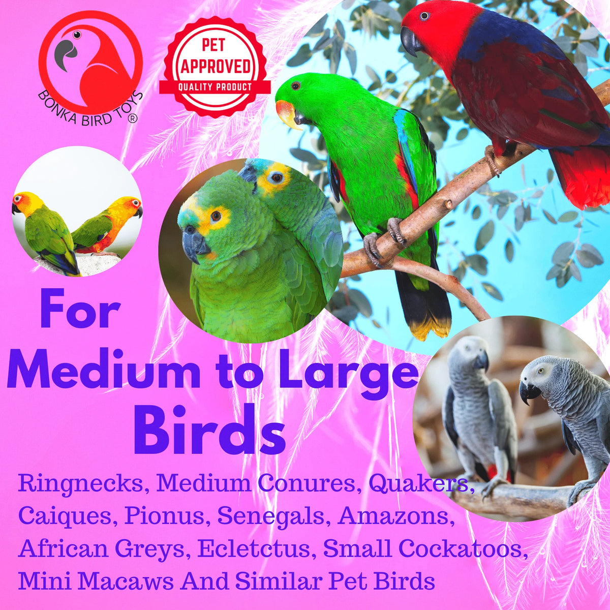 Green Clacker Bird Toys C841661