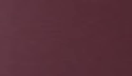 Burgundy Stainless Steel Motion Sensor Trash Can - 3.2 Gallons M5068