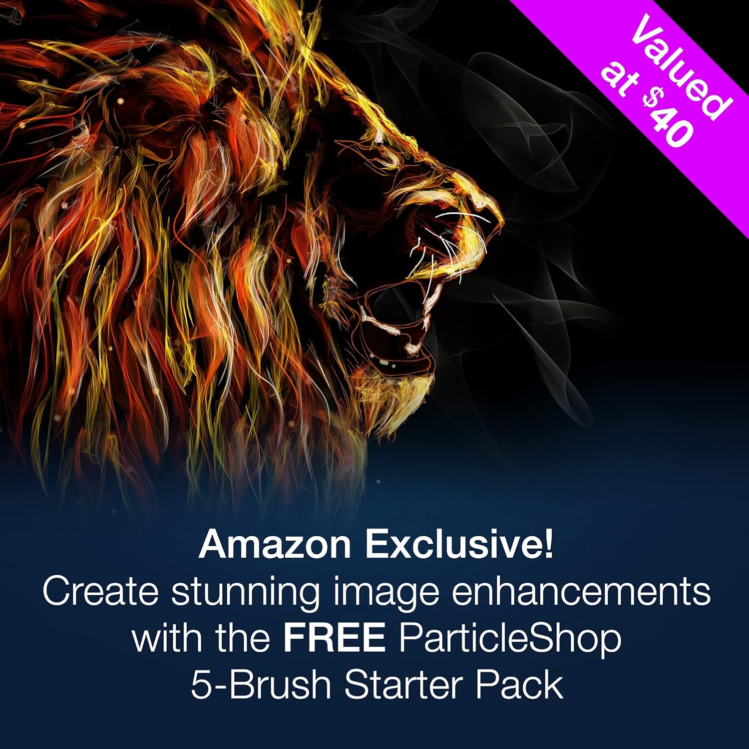 Photo Editing & Graphic Design Software with Creative Bundle O54660