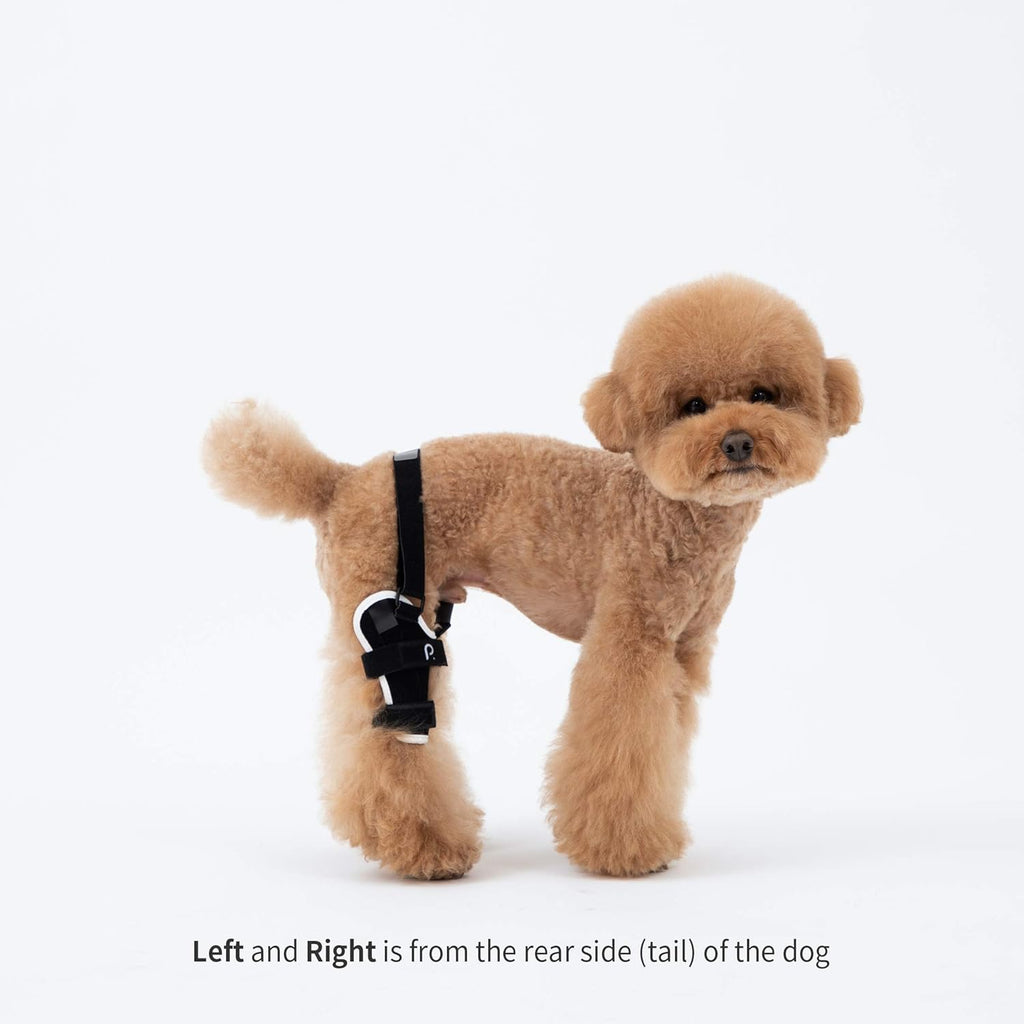 Neoprene Dog Knee Brace with Patella Tracker I7580