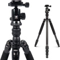 Aluminum Camera Tripod with Panorama Ball Head and Quick Release Plate M136195