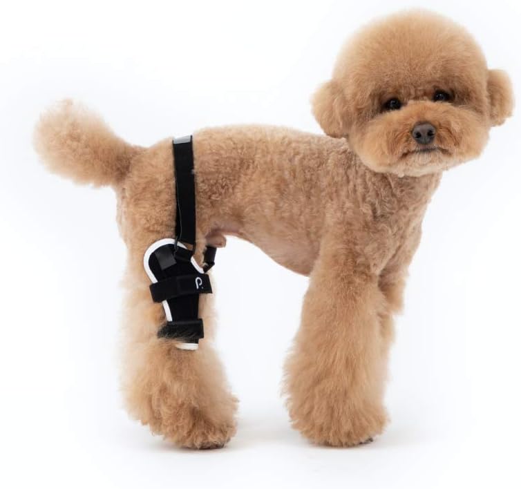 Neoprene Dog Knee Brace with Patella Tracker I7580