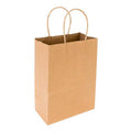 Kraft Paper Retail Bag with Handles, 10 inch x 6 3/4 inch x 12 inch, 100 Count Box, Brown J42209