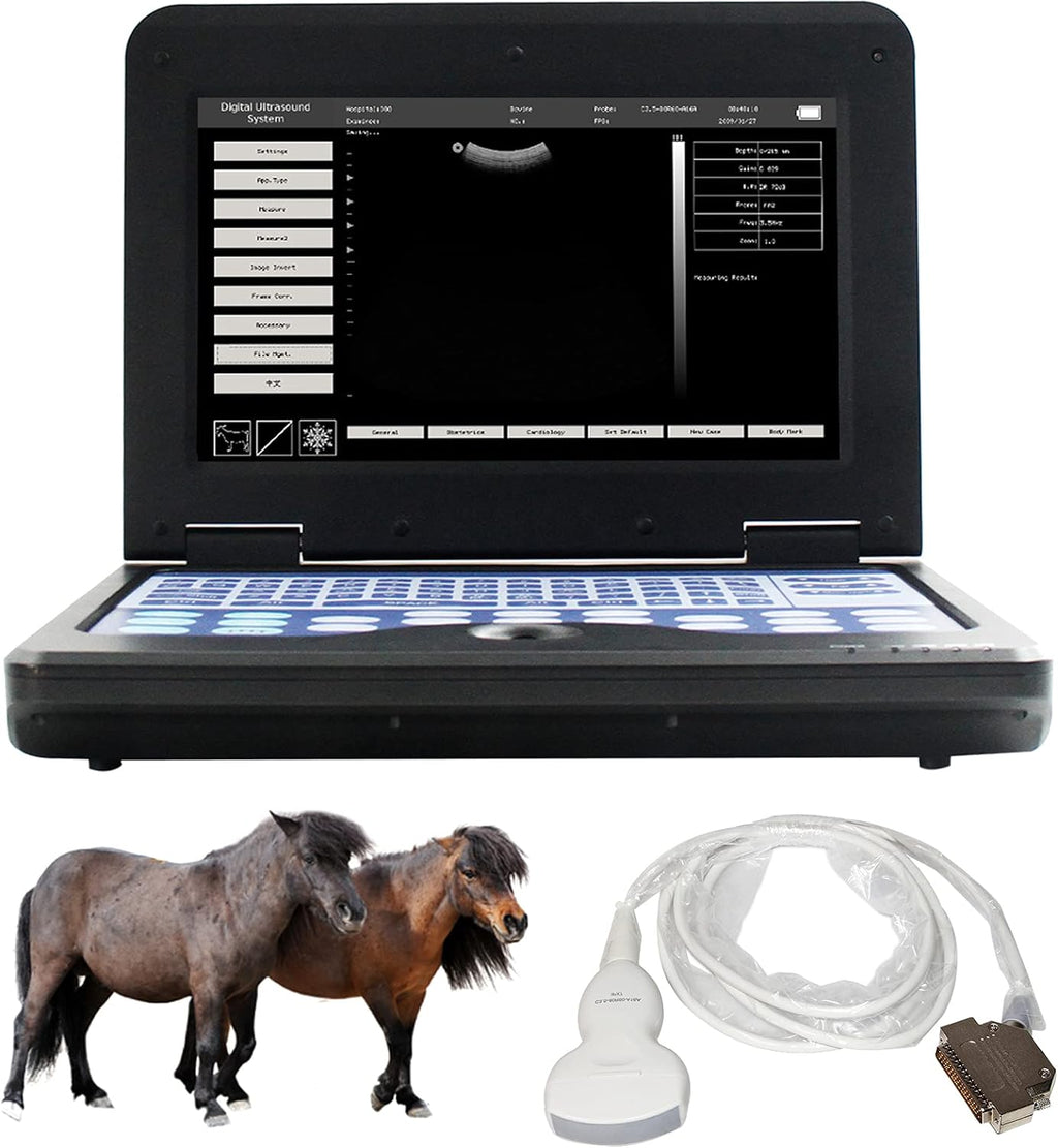 Portable Laptop B-Ultrasound Scanner Machine for Horse/Equine/Sheep Big Animal Use M148642