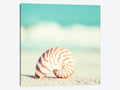 Canvas Art Picture - Nautilus U62463