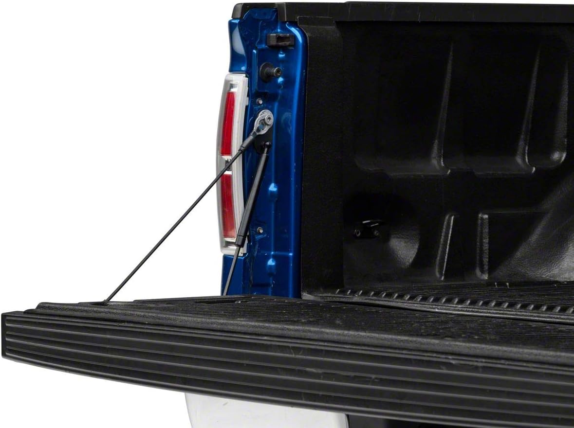 Tailgate Assist Pack of 2 I758