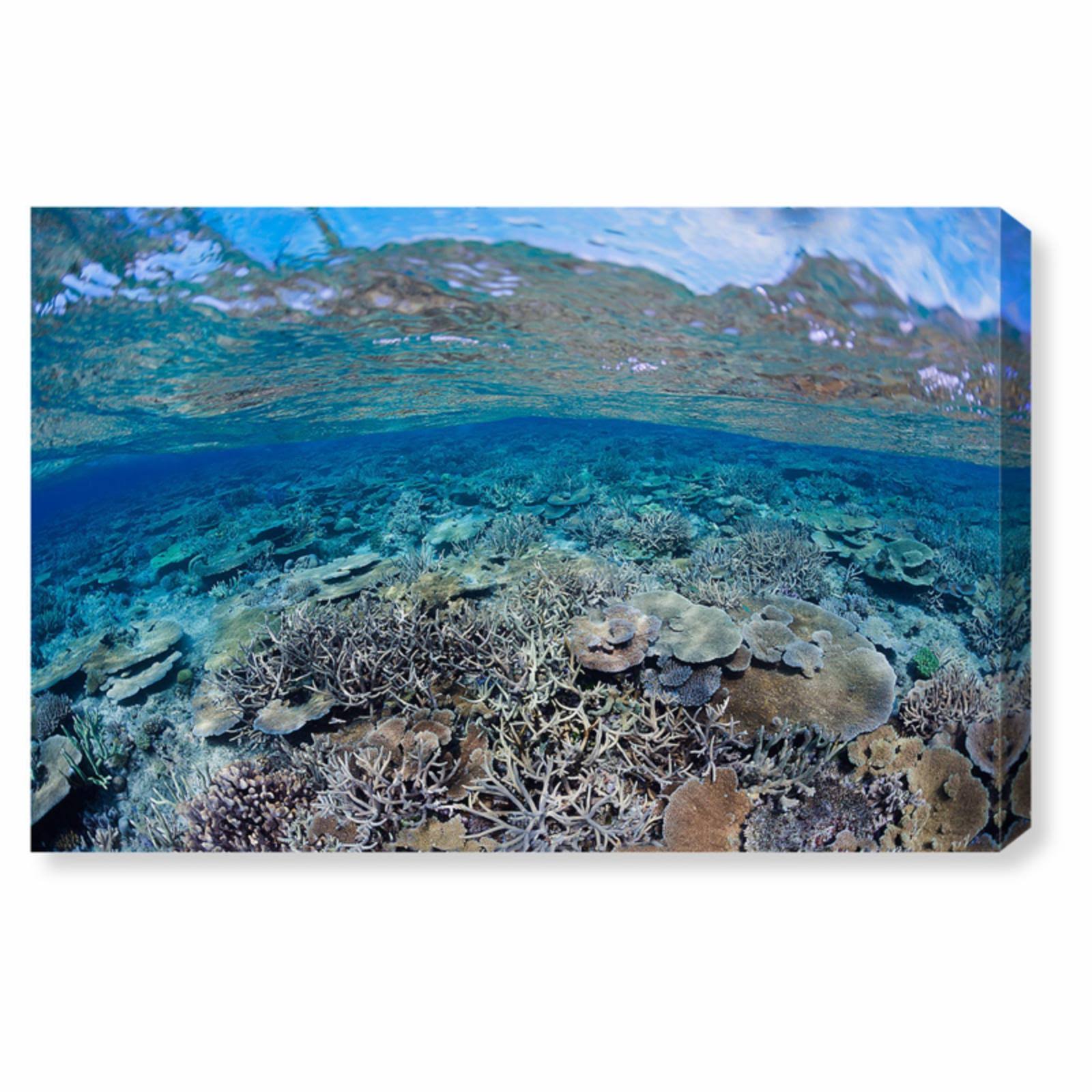 Blue Canvas Art S3779
