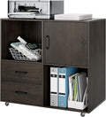 Dark Brown 2 Drawer Mobile Wood File Cabinet V45893
