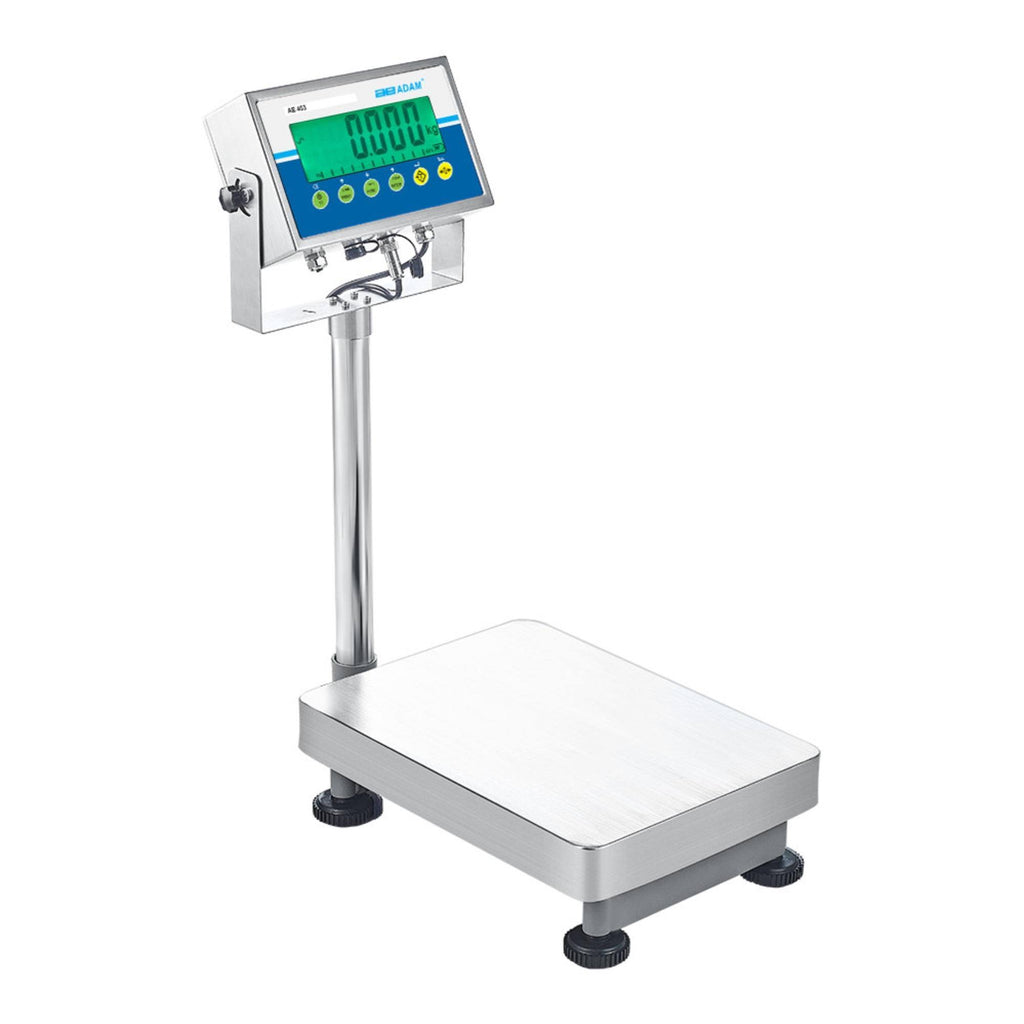 Agb Bench and Floor Scale C400175