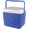9 Quart Blue White Cooler F109