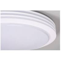 White LED Flush Mount Light T689241
