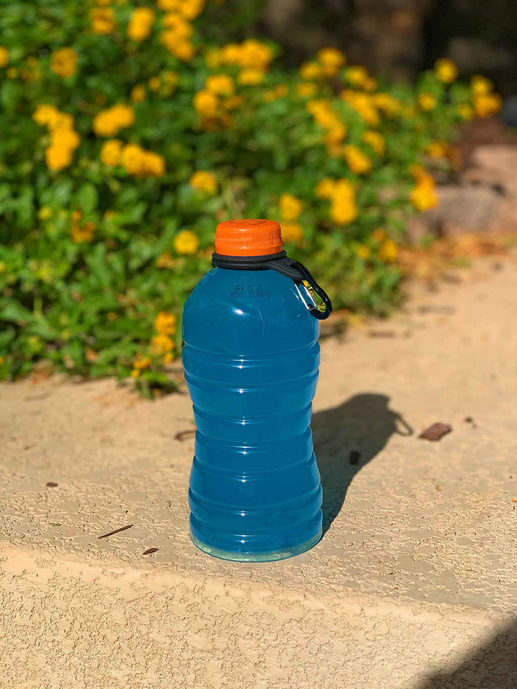 25 Pack Water Bottle Carriers Y454547