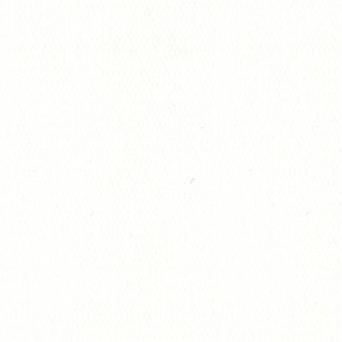 White 80 in. Awning Fabric N901366