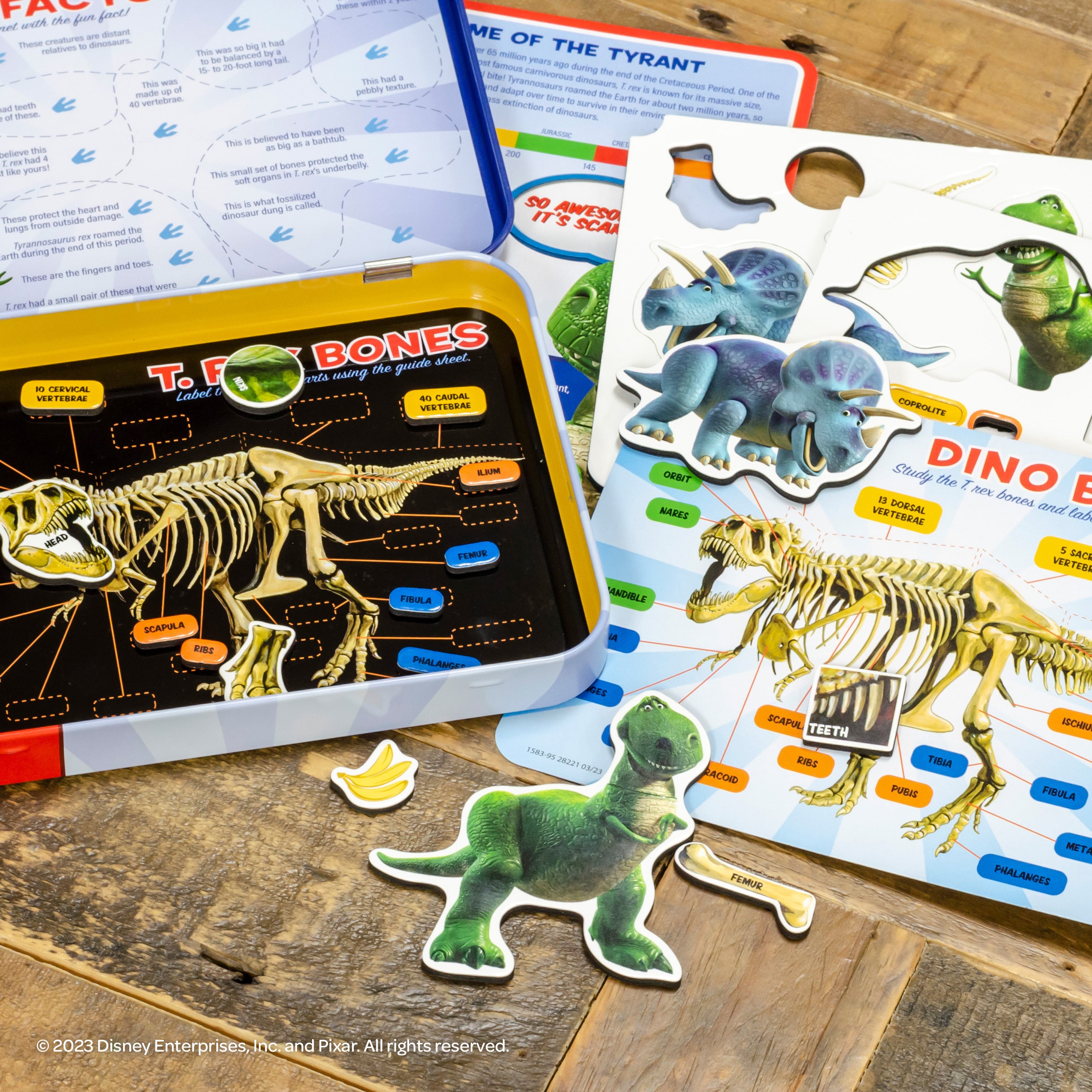 Multicolor Dinosaur Science Educational Magnetic Activity Tin F355333