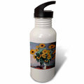 Sports Water Bottle B9419