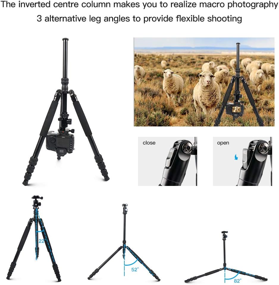 Aluminum Camera Tripod with Panorama Ball Head and Quick Release Plate M136195