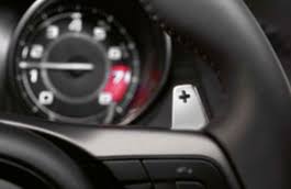 Aluminum Gearshift Paddles B408385