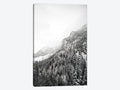 Canvas Art Wall Decor I6116