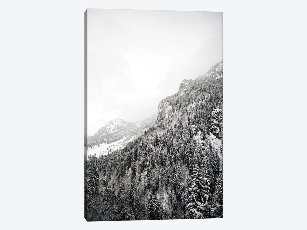 Canvas Art Wall Decor I6116