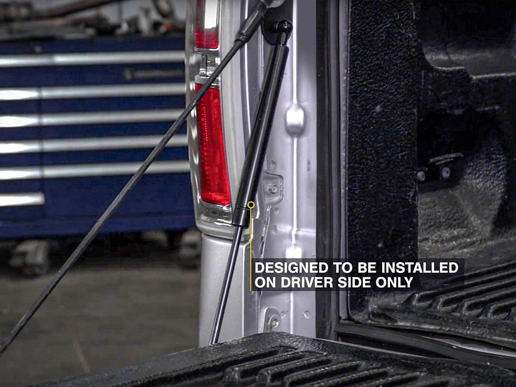 Tailgate Assist Pack of 2 I758