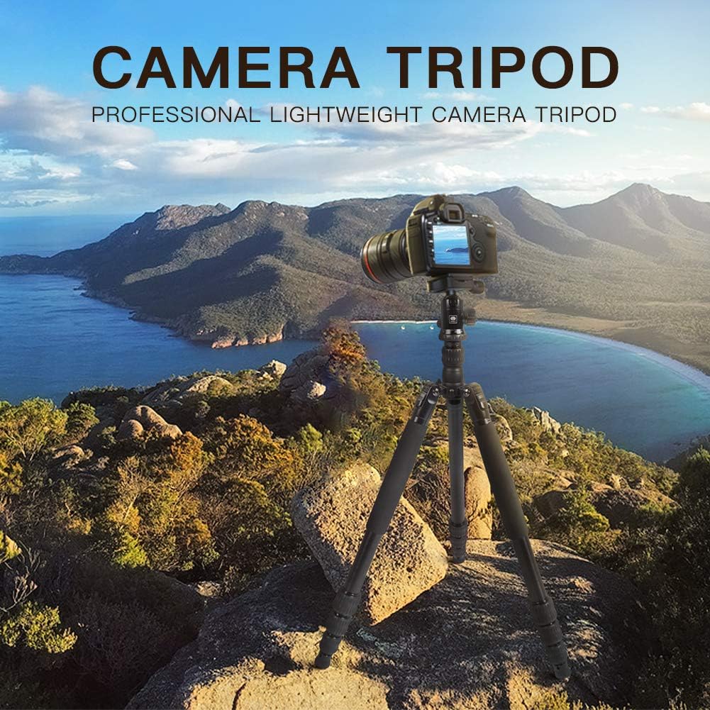 Aluminum Camera Tripod with Panorama Ball Head and Quick Release Plate M136195