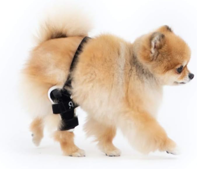 Neoprene Dog Knee Brace with Patella Tracker I7580