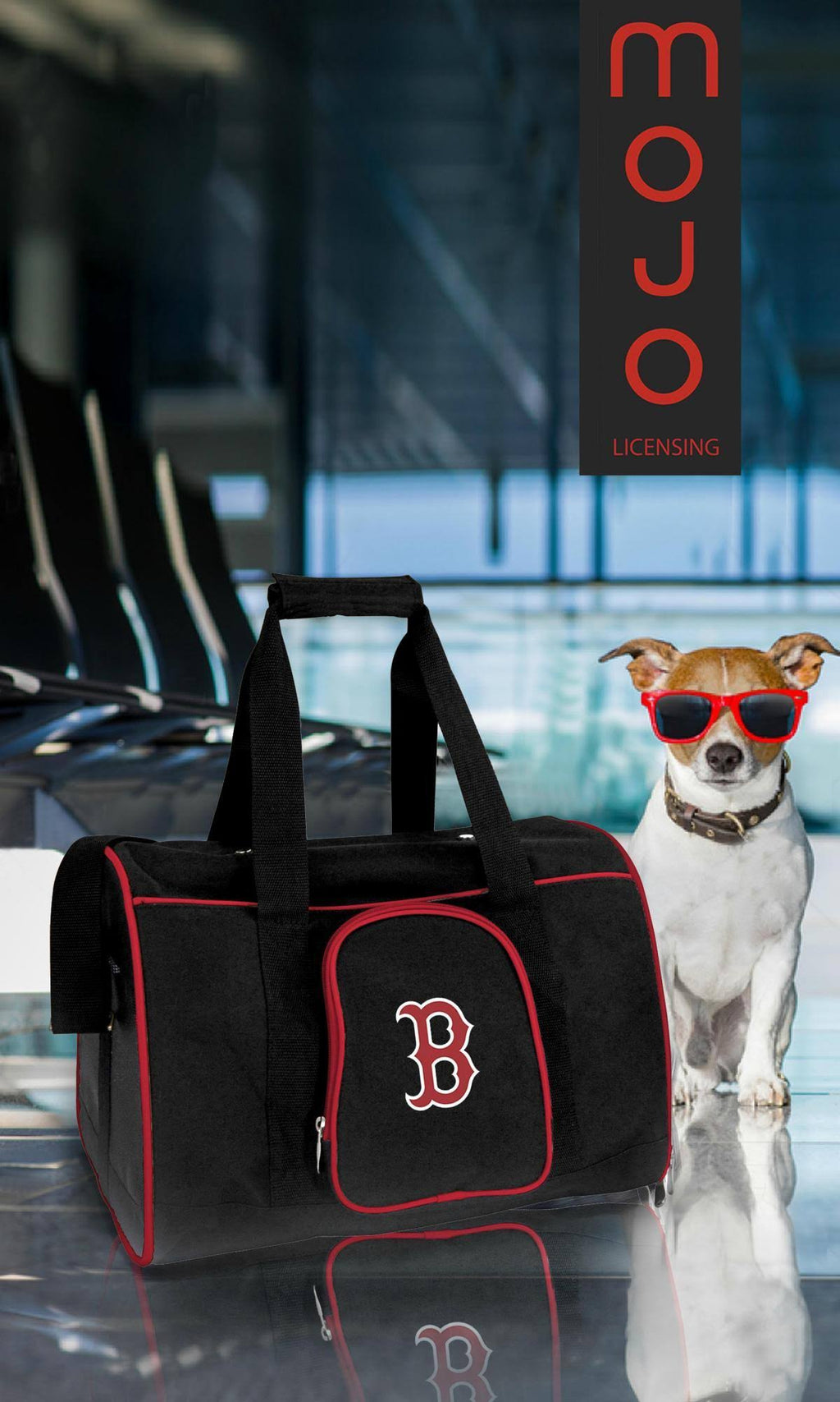 Premium Pet Carrier D19527