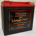Replacement Battery for Honda Pioneer 1000 Y19531