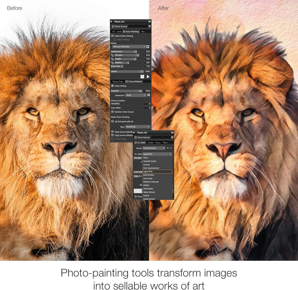 Painter 2021 Upgrade Digital Painting Software [PC/Mac Keycard] S526329