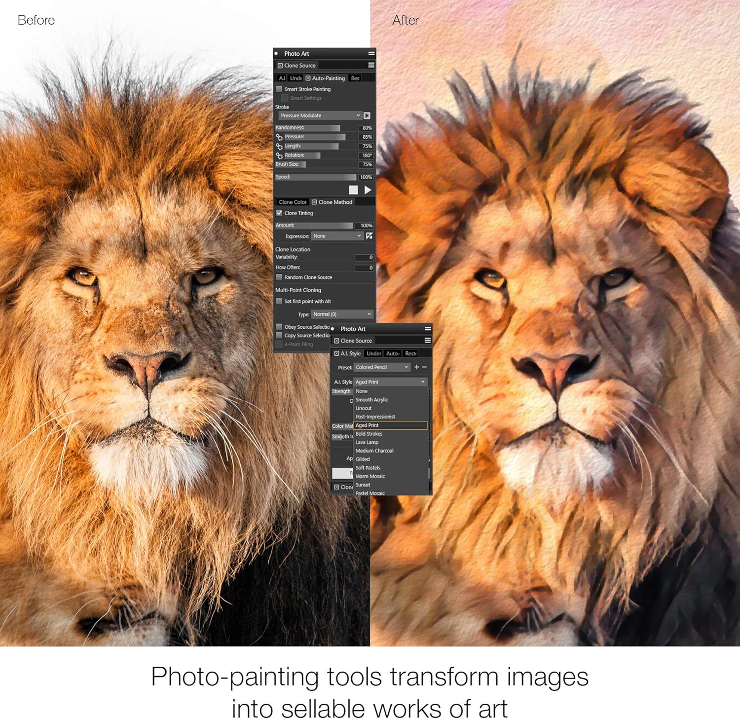 Painter 2021 Upgrade Digital Painting Software [PC/Mac Keycard] S526329