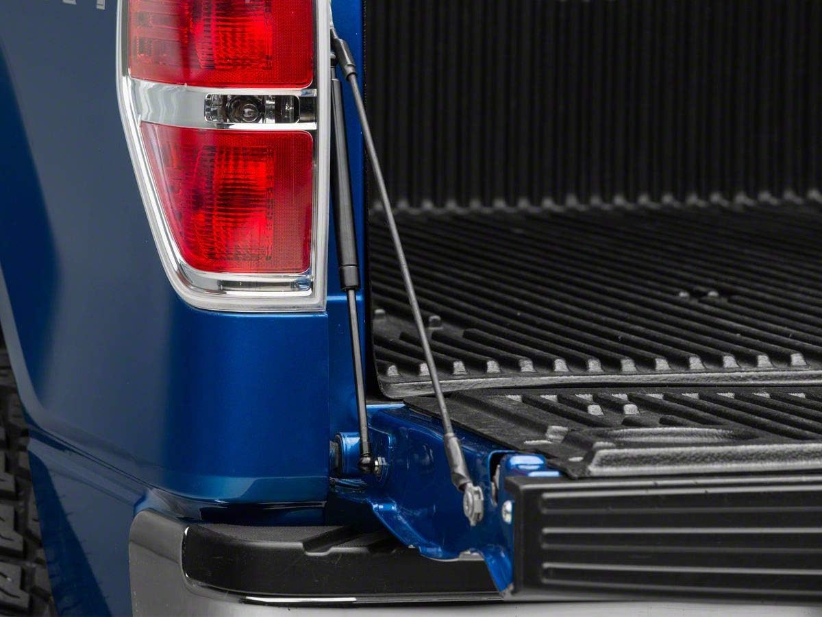 Tailgate Assist Pack of 2 I758