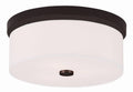 Bronze 2 Light Ceiling Mount L15053