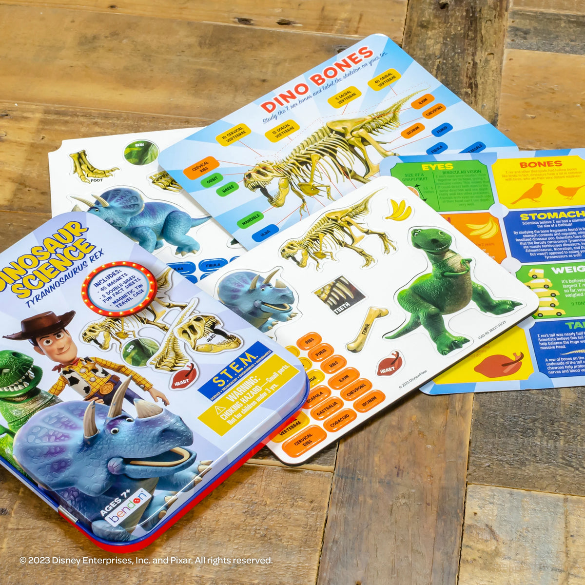 Multicolor Dinosaur Science Educational Magnetic Activity Tin F355333