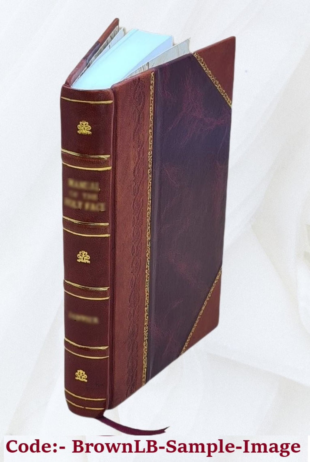 Leather Bound Book X931