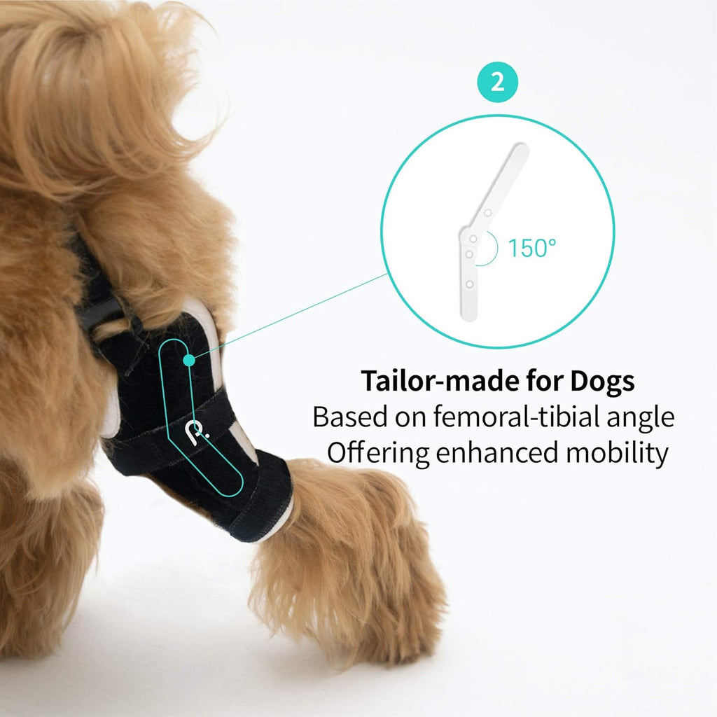Neoprene Dog Knee Brace with Patella Tracker I7580