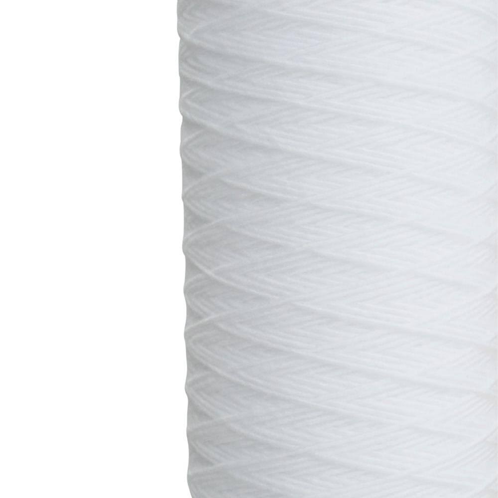 10 in. 5 Micron Sediment Replacement Filter (4-Pack) N269