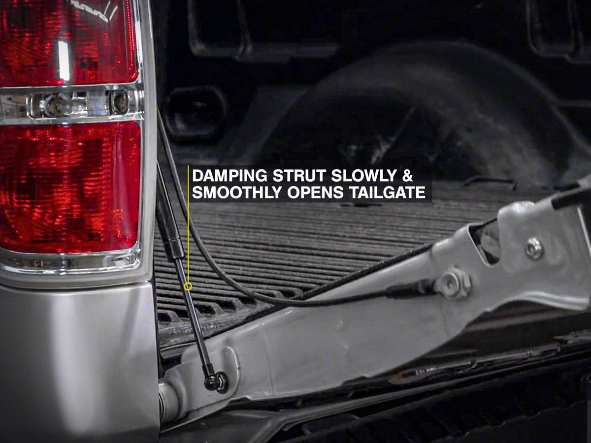 Tailgate Assist Pack of 2 I758