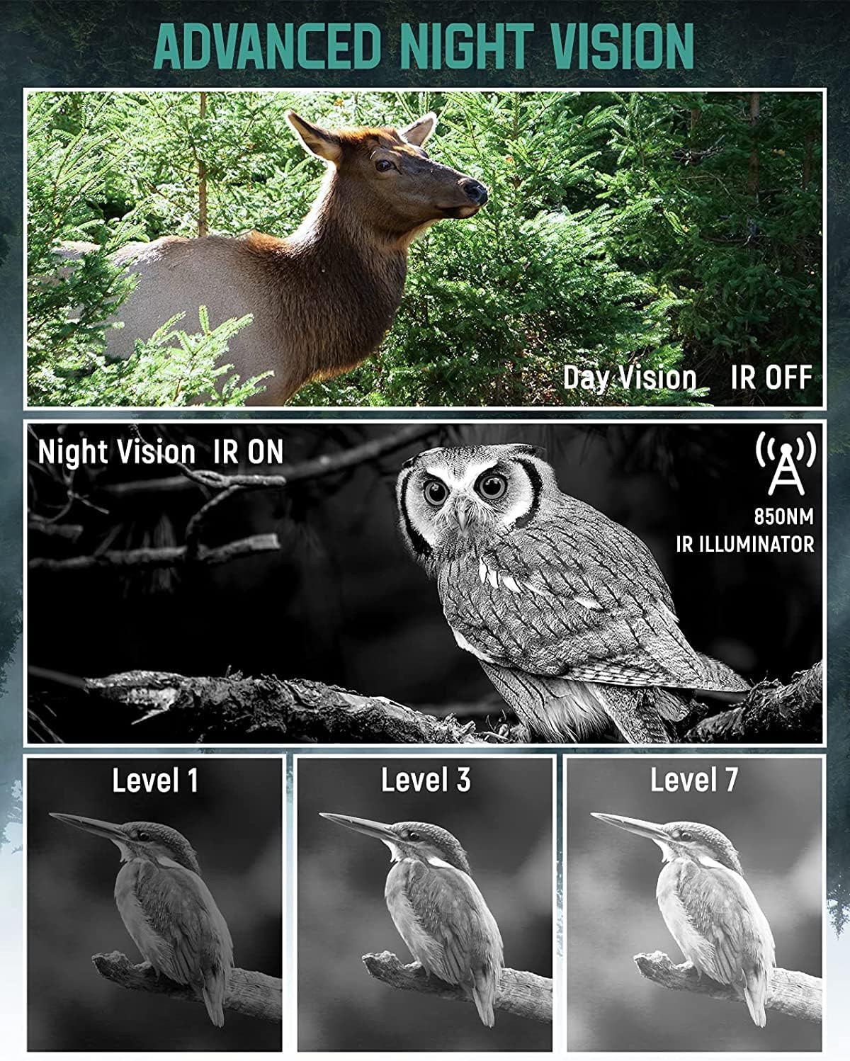Night Vision Digital Infrared Binoculars with 32GB Memory Card R522